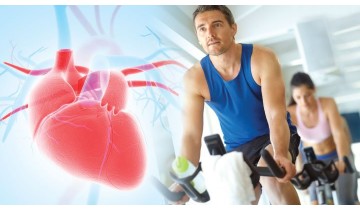 CoQ10 Reduces Heart Failure Deaths